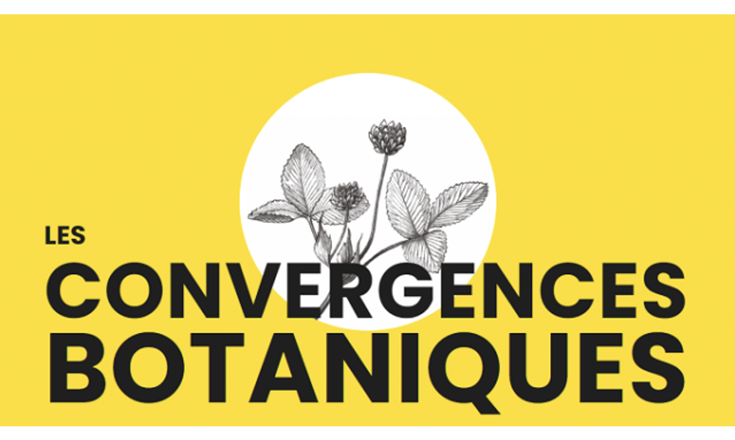 Convergences botaniques 2024 : appel à contribution